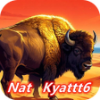 Icoon van programma: Nat Kyattt6