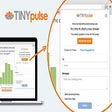Ikon program: TINYpulse
