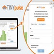 TINYpulse