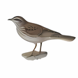 Icono de programa: Pipit