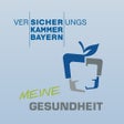 VKB - Meine Gesundheit icon