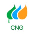 ไอคอนของโปรแกรม: Connecticut Natural Gas