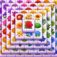 Icon of program: Blossom Master