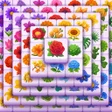 Icoon van programma: Blossom Master
