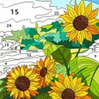 Ikon program: Joy Coloring