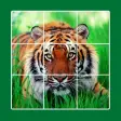 Animal puzzle: kid jigsaw game