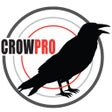 Programikonen: Crow Calling App-Electron…