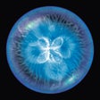 Icône du programme : Osmos for iPad