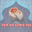 Programikonen: বছই কর মনজত সমহ   Sel
