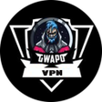 Иконка программы: Gwapo Freenet VPN