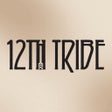 プログラムのアイコン：12th Tribe