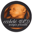 Icon of program: Ecobebé App