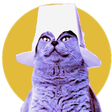 Programikonen: Cats