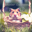 程序图标：Cute Theme-Hamster Cutene…