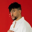 プログラムのアイコン：Bad Bunny Song Offline