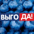 Иконка программы: ВЫГОДА