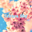 程序图标：icon  wallpaper-Sakura Sk…