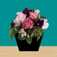 프로그램 아이콘: Flower - room escape game…