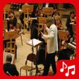 Icono de programa: Sonidos de Orquesta para …