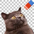 Icon of program: Background PNG maker