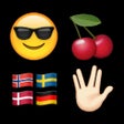أيقونة البرنامج: SMS Smileys