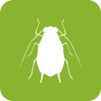 Ikona programu: BugFinder