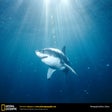 Ikona programu: National Geographic Great…