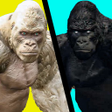 プログラムのアイコン：White King Kong: War Figh…