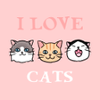 Programikonen: Wallpaper I Love Cats The…
