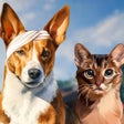 أيقونة البرنامج: I Am Pet Animal Care Simu…