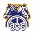 Programikonen: Teamsters 896