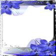 程序图标：blank wallpaper