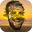 程序图标：Photo Illusion AI Diffusi…