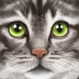 Ícone do programa: Ultimate Cat Simulator