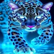 プログラムのアイコン：Neon Animal Wallpaper