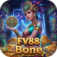 程序图标:FV88Bone
