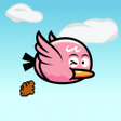Programikonen: Botty Bird