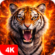 Programikonen: Tiger Wallpapers 4K
