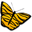 Programmsymbol: Amnesty Widget Browser