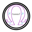 Icoon van programma: Omega Tunnel