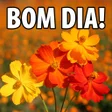 程序图标：Frases de Bom Dia