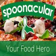 Ikon program: spoonacular recipe saver