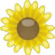 Icon of program: FCorp - Imaging