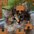 أيقونة البرنامج: Jigsaw Puzzles