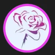 程序图标：Rose Vpn Udp