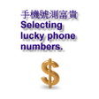 Ícone do programa: Lucky phone number[trial]