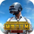 PUBG MOBILE絕地求生M