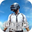 Programın simgesi: PUBG MOBILE絕地求生M