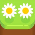 Programikonen: Flower Shop Idle