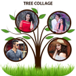 Programikonen: Tree Photo Frames  Collag…